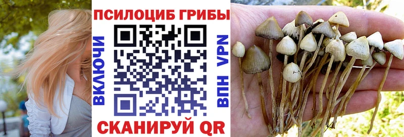 Псилоцибиновые грибы GOLDEN TEACHER  где можно купить наркотик  МЕГА ТОР  Баксан 